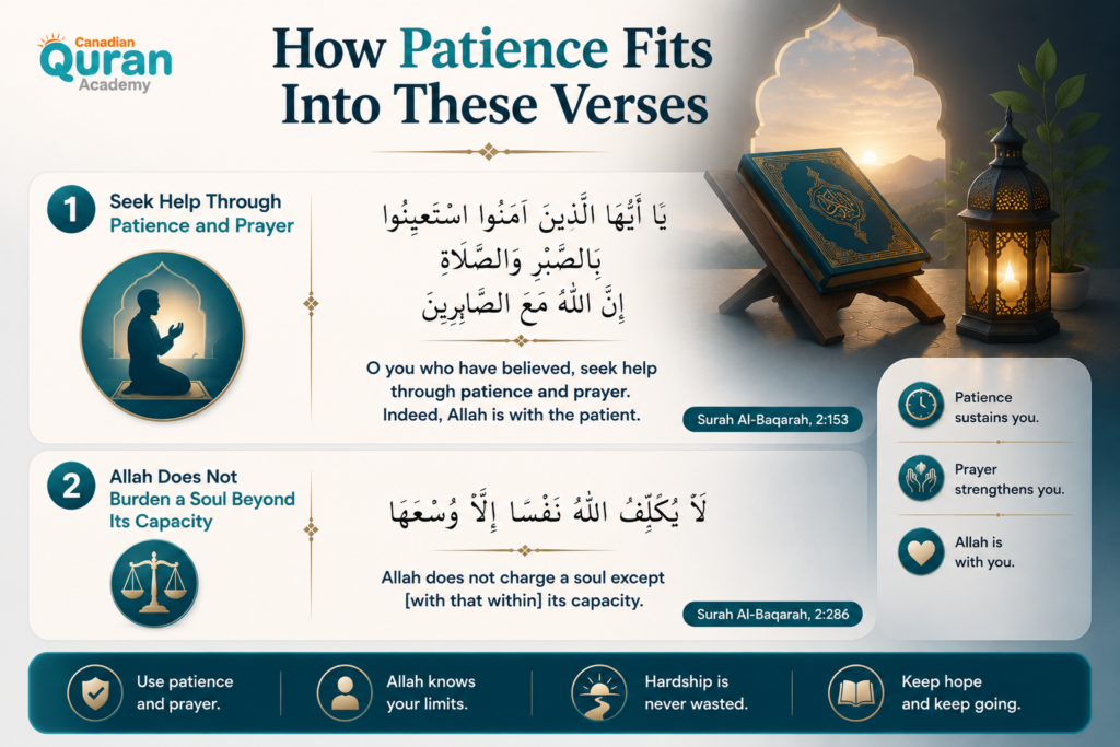 Quran Verses About Not Giving Up In Arabic and English 3 image 210