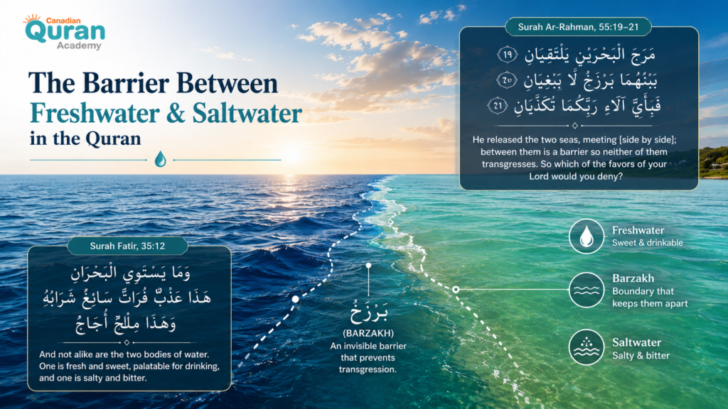 Quranic Verses About Water in Arabic 9 image 321