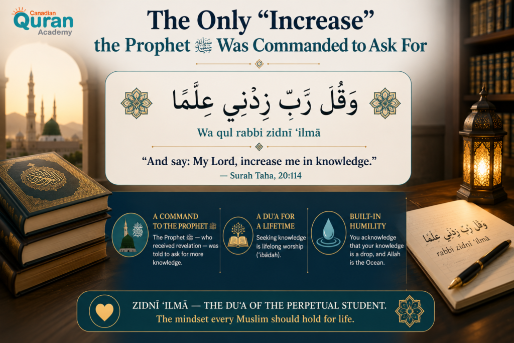 Quranic Verses on Education in Arabic - Seeking Knowledge in the Quran 8 image 338