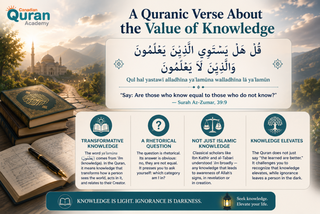 Quranic Verses on Education in Arabic - Seeking Knowledge in the Quran 3 image 339