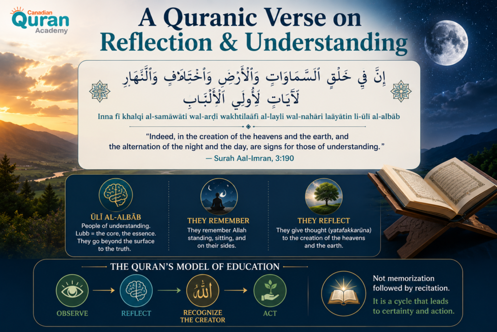 Quranic Verses on Education in Arabic - Seeking Knowledge in the Quran 6 image 340