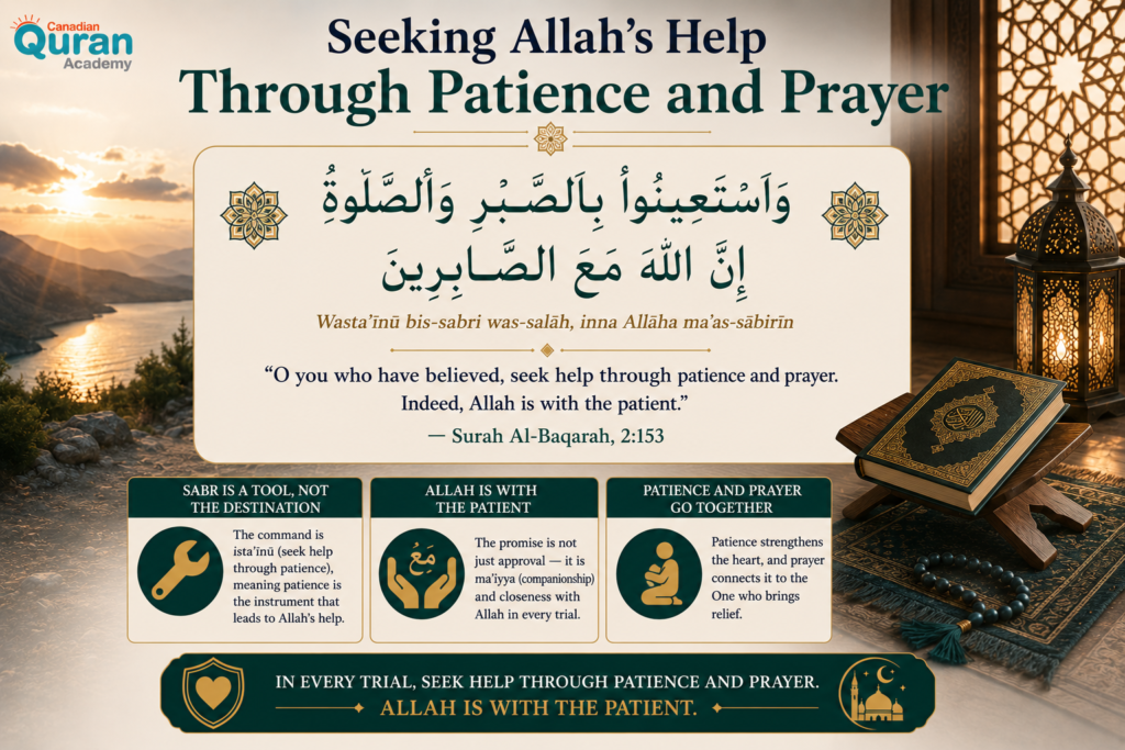 10 Quranic Verses on Patience in Arabic (Sabr) — With Full Text and Meaning 1 image 355