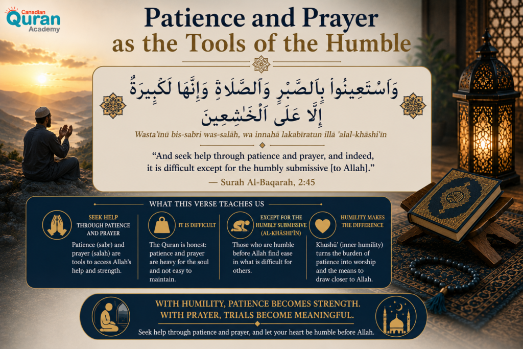 10 Quranic Verses on Patience in Arabic (Sabr) — With Full Text and Meaning 6 image 360