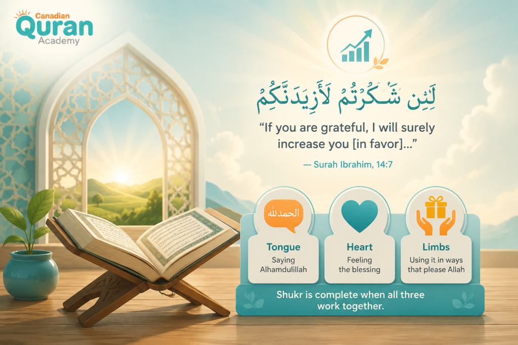 Quranic Verses on Shukr in Arabic and English — A Complete Guide 1 image 377