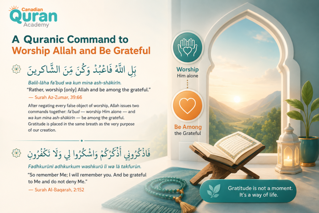 Quranic Verses on Shukr in Arabic and English — A Complete Guide 2 image 379