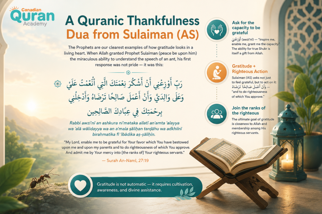 Quranic Verses on Shukr in Arabic and English — A Complete Guide 4 image 381