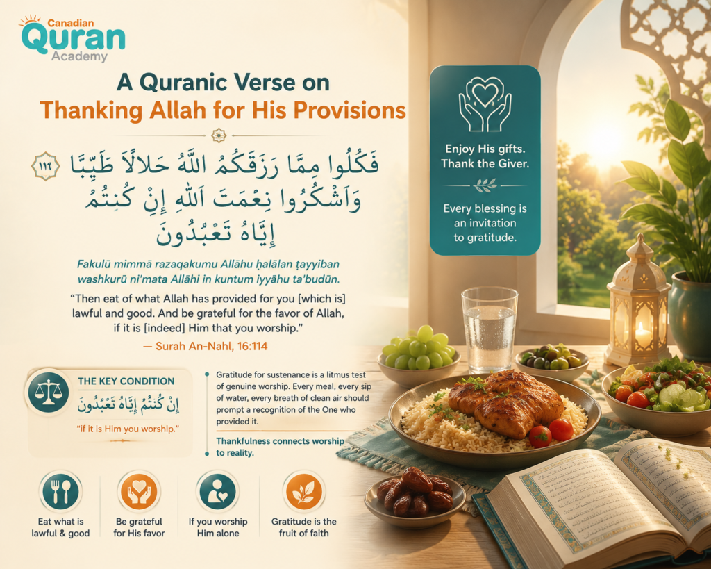 Quranic Verses on Shukr in Arabic and English — A Complete Guide 7 image 384