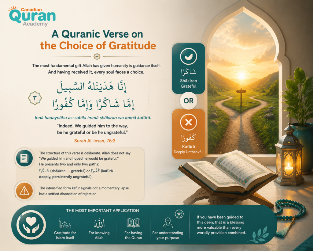 Quranic Verses on Shukr in Arabic and English — A Complete Guide 8 image 386