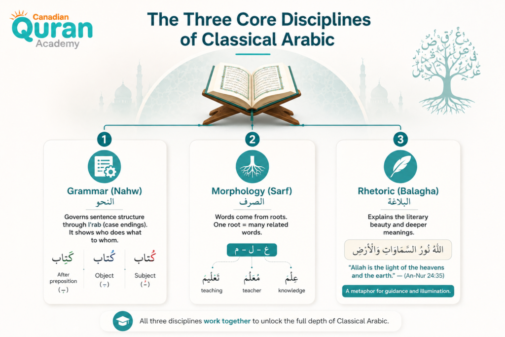 What Is Classical Arabic? A Complete Guide to Fusha and Quranic Study 3 image 44
