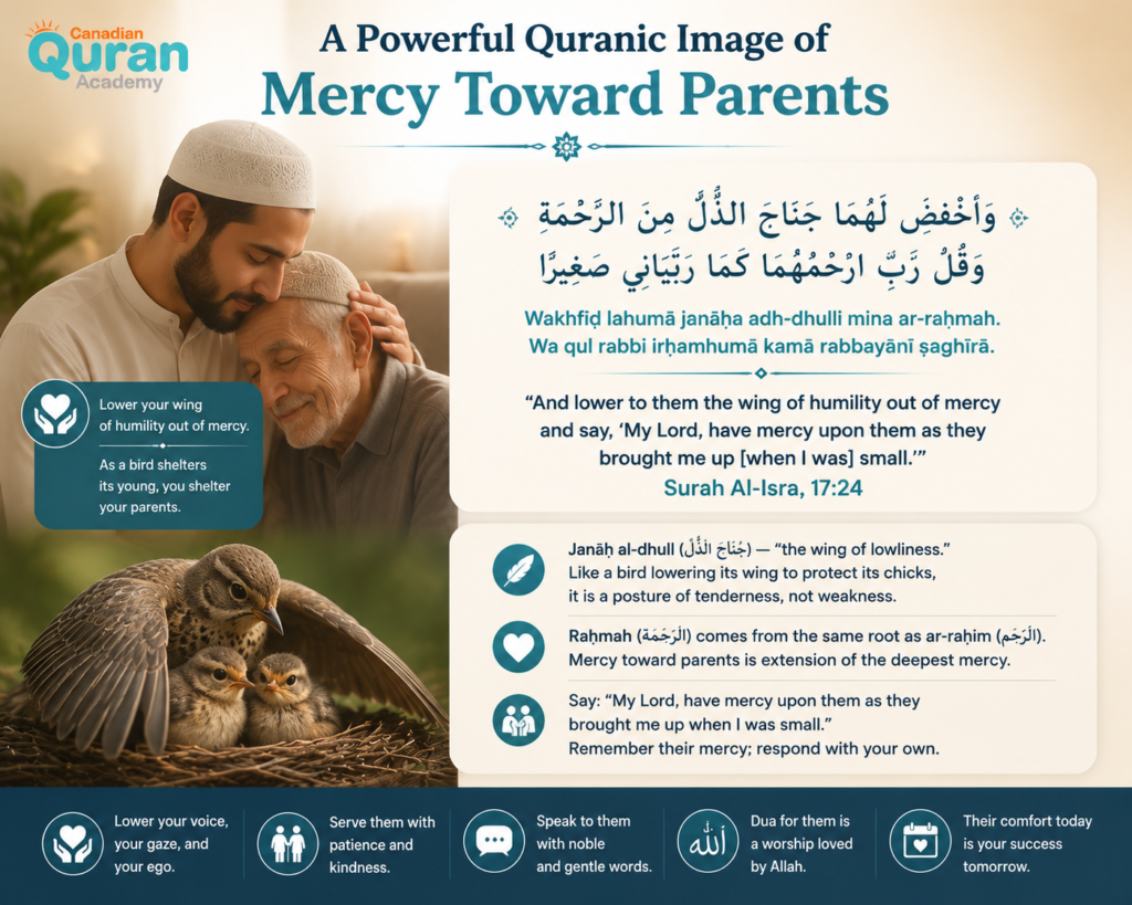 Quranic Verses About Parents in Arabic 2 image 456