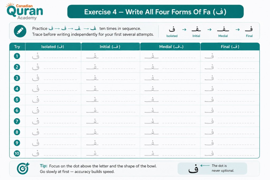 The Letter Fa In Arabic ف - How To Write, Pronounce, And Recognize It 4 image 145