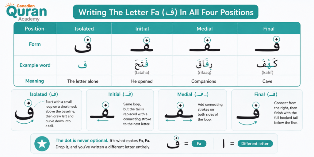 The Letter Fa In Arabic ف - How To Write, Pronounce, And Recognize It 2 image 146