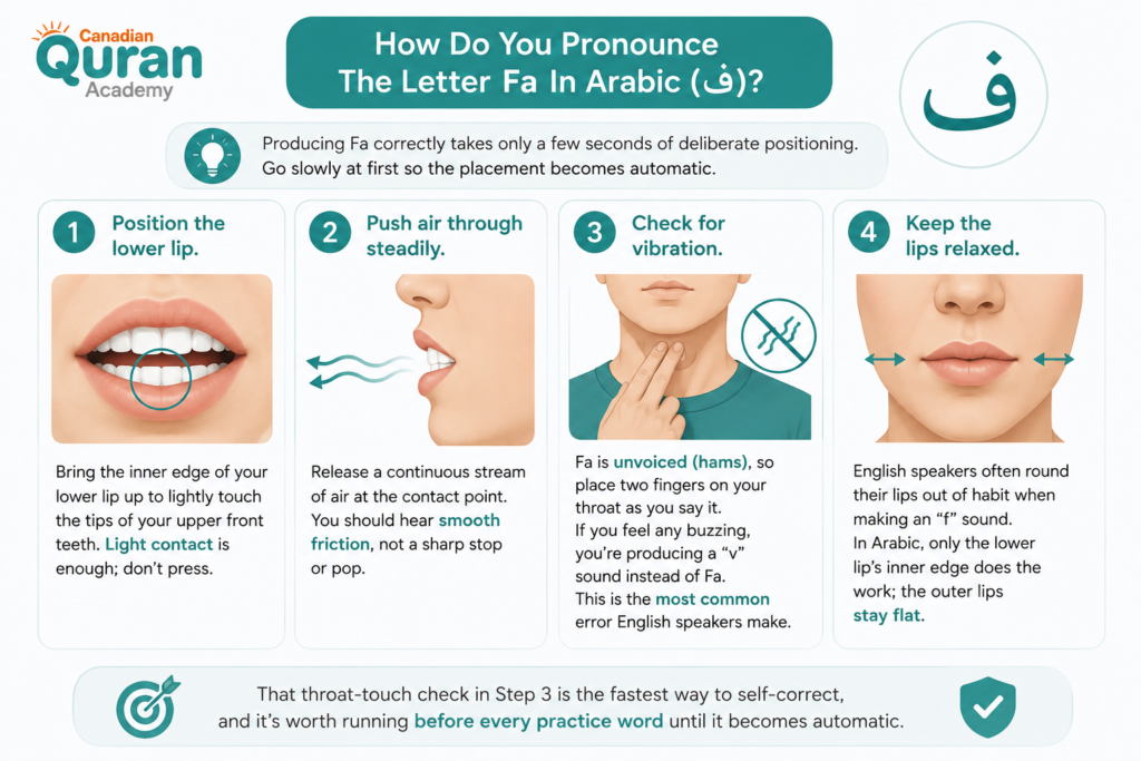The Letter Fa In Arabic ف - How To Write, Pronounce, And Recognize It 3 image 147