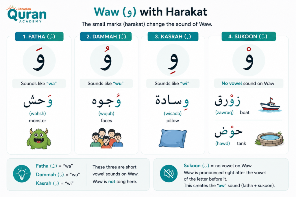 The Arabic Letter Waw (و) - How To Read, Write, And Pronounce It 2 image 158
