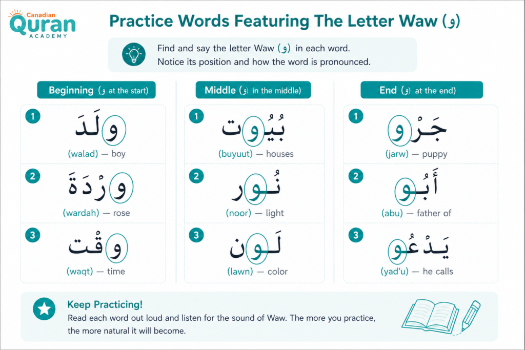 The Arabic Letter Waw (و) - How To Read, Write, And Pronounce It 3 image 159