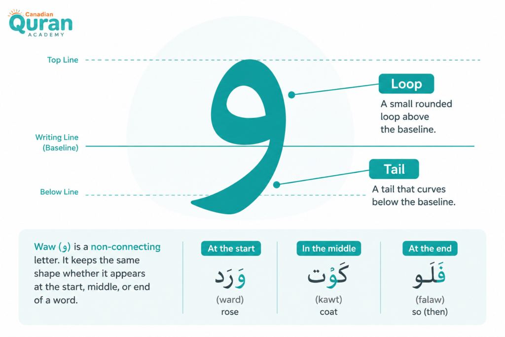The Arabic Letter Waw (و) - How To Read, Write, And Pronounce It 1 image 161