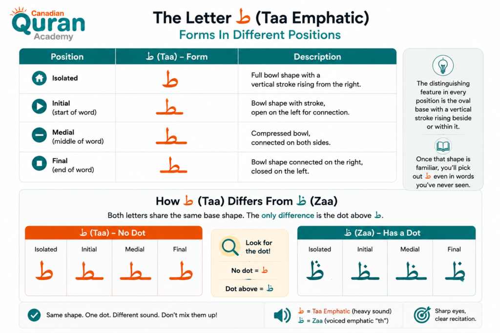 The Letter Ta In Arabic (ط) - A Complete Guide To Writing, Pronouncing, And Mastering It 2 image 182