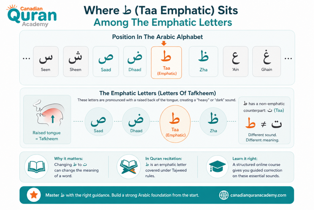 The Letter Ta In Arabic (ط) - A Complete Guide To Writing, Pronouncing, And Mastering It 1 image 183
