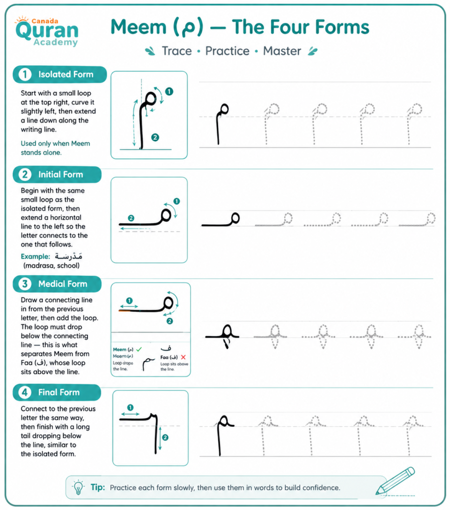 Letter M In Arabic (م) - Pronunciation, Writing Forms, And Common Words 2 image 209