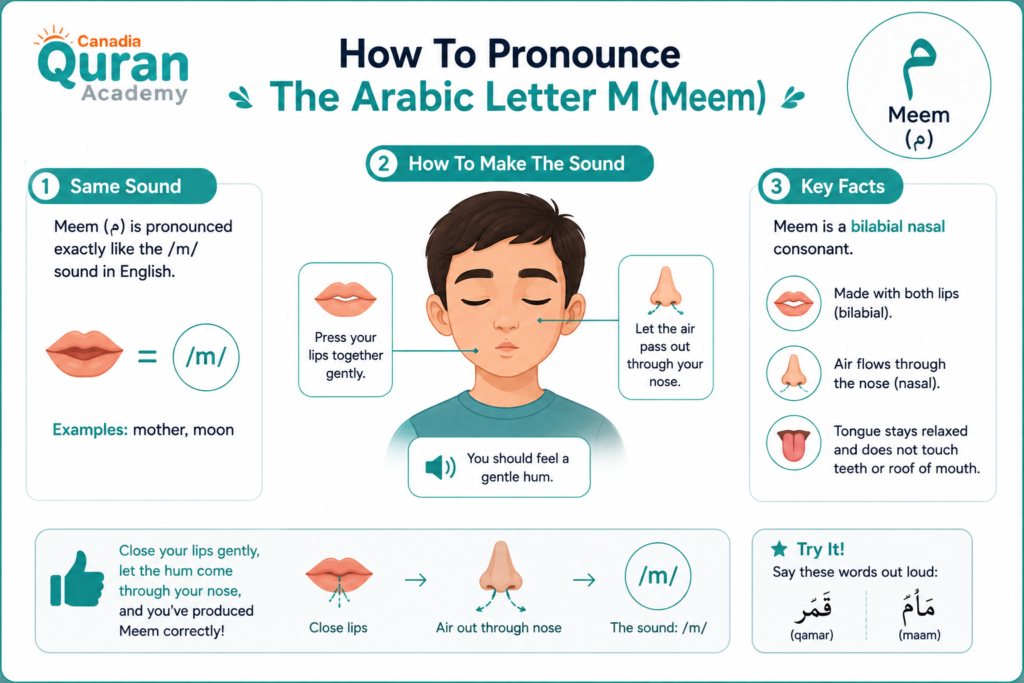 Letter M In Arabic (م) - Pronunciation, Writing Forms, And Common Words 1 image 211