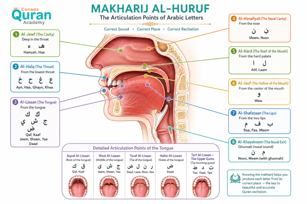 Arabic Noorani Qaida - What It Is, Its Origin, And How To Teach It? 1 image 40