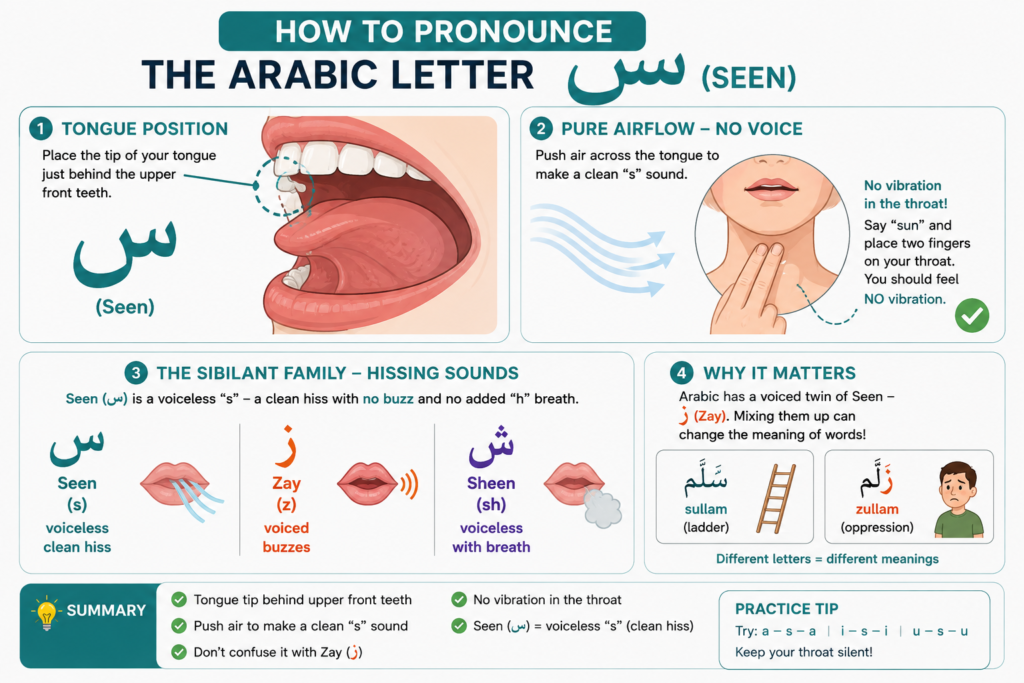 The Arabic Letter S (Seen س) - Pronunciation, Shapes, And Words To Practice 1 image 87