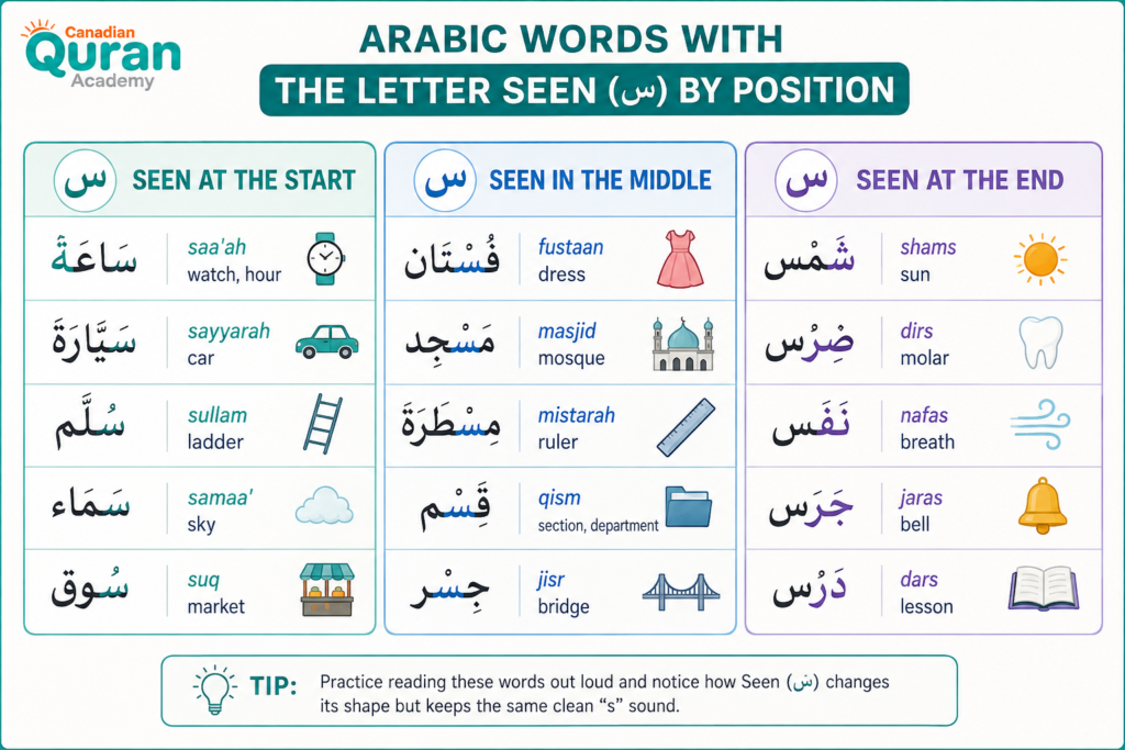 The Arabic Letter S (Seen س) - Pronunciation, Shapes, And Words To Practice 2 image 88