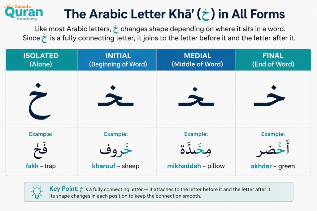 Letter Kh خ In Arabic - How To Read, Write, And Pronounce It? 2 image 96