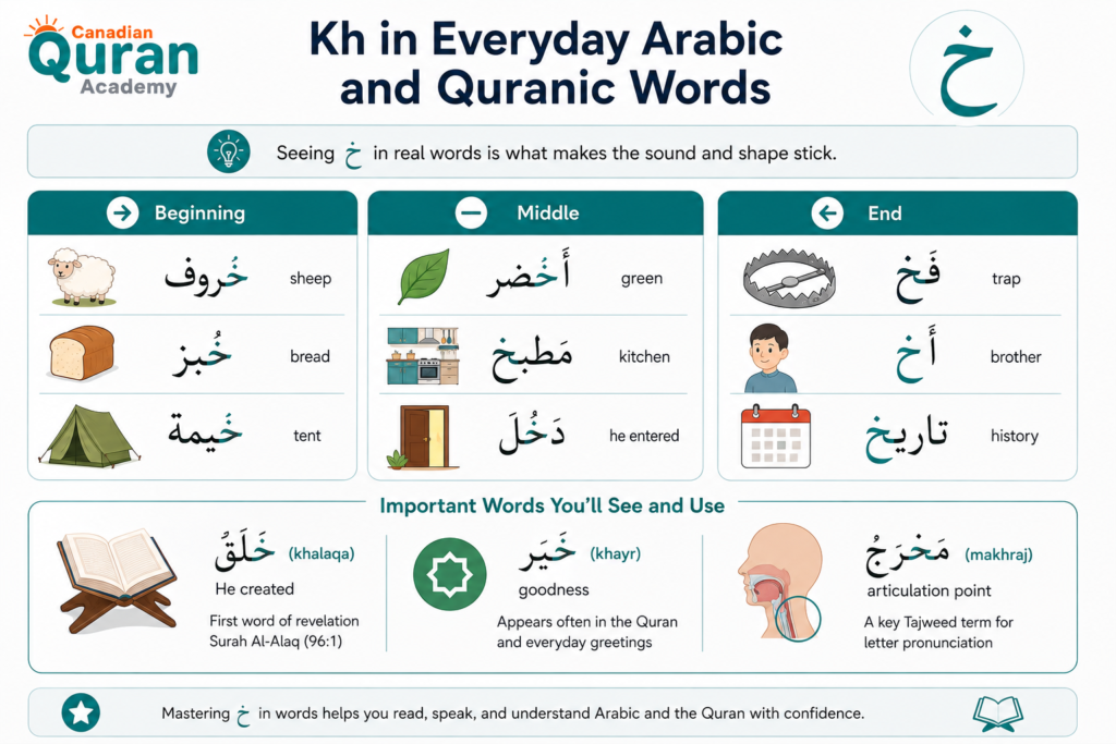 Letter Kh خ In Arabic - How To Read, Write, And Pronounce It? 4 image 97