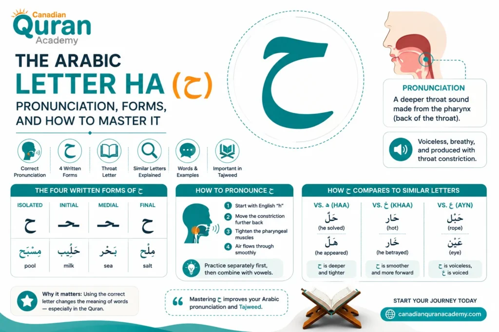 The Arabic Letter Ha (ح) –  Pronunciation, Forms, And How To Master It