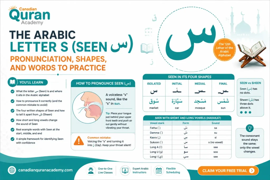 The Arabic Letter S (Seen س) – Pronunciation, Shapes, And Words To Practice
