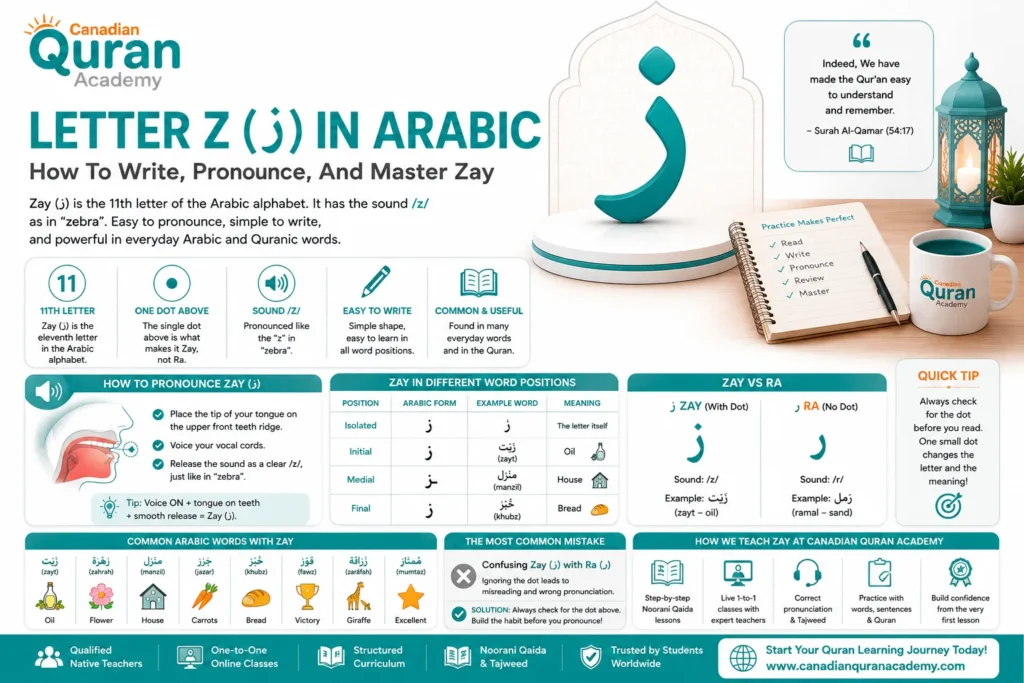 Letter Z ز In Arabic – How To Write, Pronounce, And Master Zay
