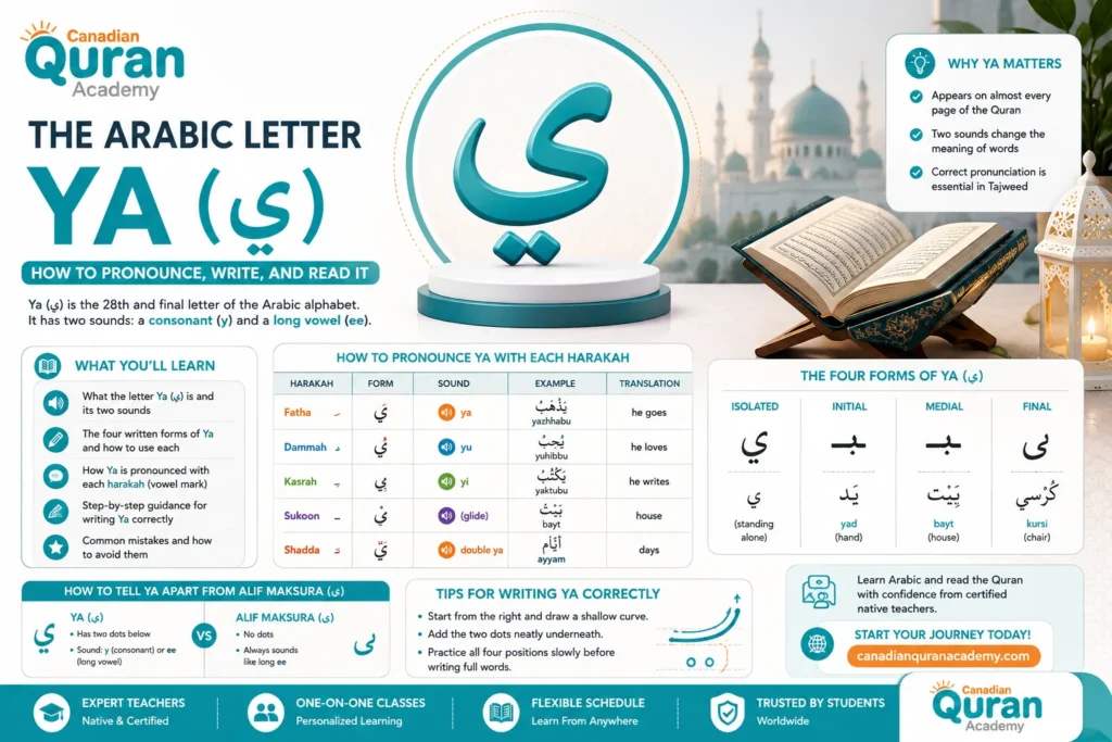 How To Pronounce And Write The Arabic Letter Ya (ي)? A Complete Guide