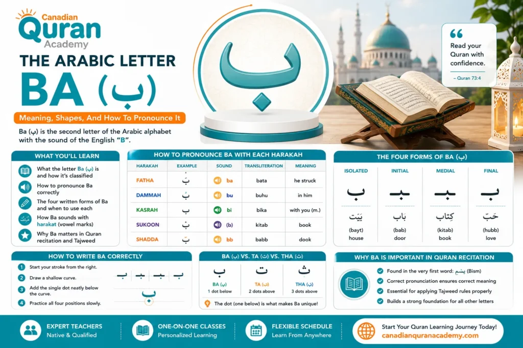 The Arabic Letter Ba (ب) – Meaning, Shapes, And How To Pronounce It