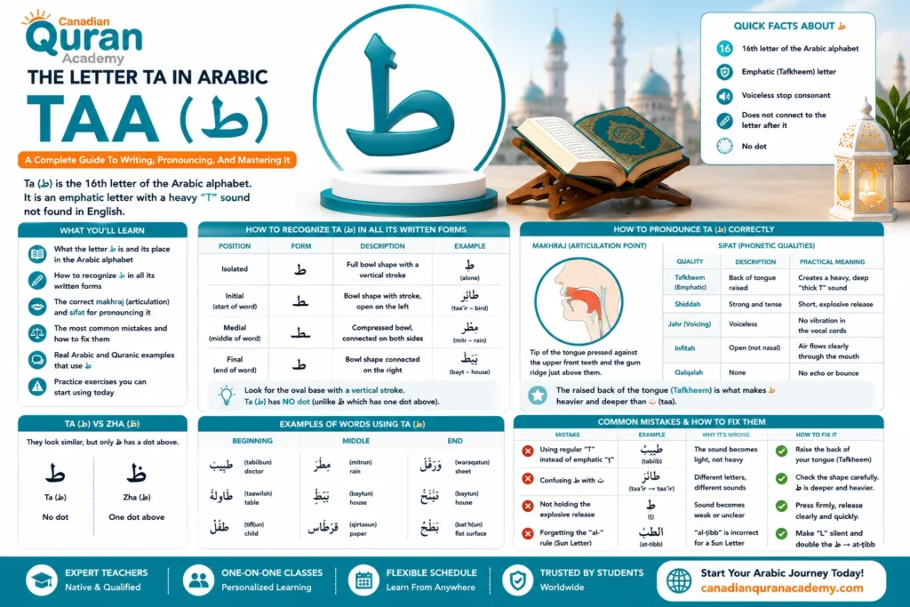 The Letter Ta In Arabic (ط) – A Complete Guide To Writing, Pronouncing, And Mastering It