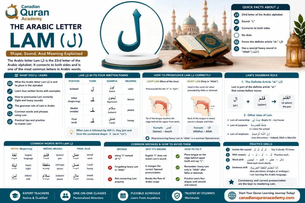 The Arabic Letter Lam (ل) – Shape, Sound, And Meaning Explained