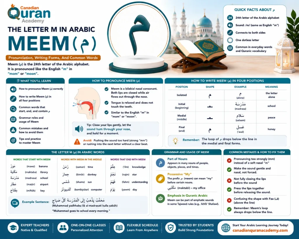 Letter M In Arabic (م) – Pronunciation, Writing Forms, And Common Words